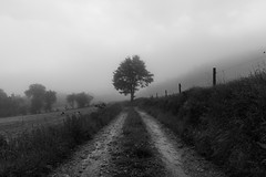 The Country Lane - Photo of Saint-Julien-Chapteuil