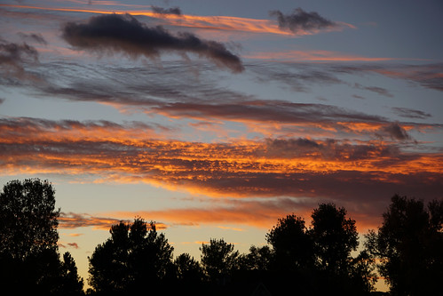 sunrise dawn splendidsky superbsky colorfulsky clouds silhouette treetops treesilhouette
