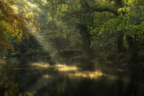 landscape cheshire marple rivergoyt romanbridge mist sunrays trees autumn autumncolours