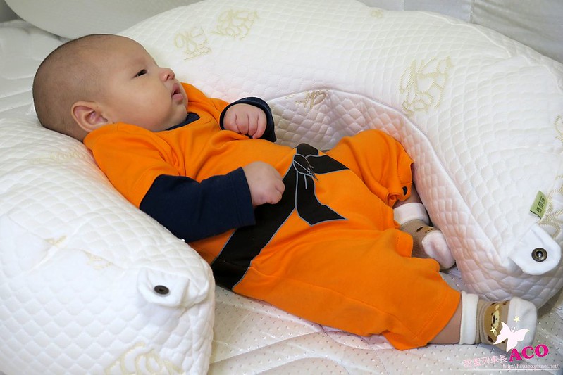 哺乳護嬰枕 月亮枕IMG_6281.JPG