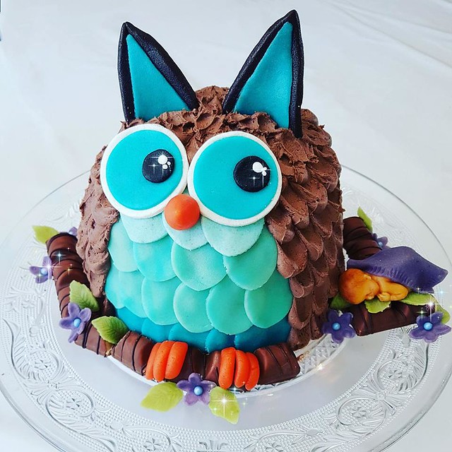 Owl Cake by Fairy Cakes