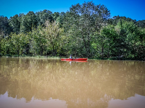 boydmillpond kayaking laurenscounty paddling reedyriver southcarolina wareshoals unitedstates us