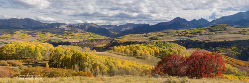 ridgeway telluride panorama panoramic pano views rockymountains trees forest wilderness backcountry highcountry colorado autumn fall foliage colorful calm peaceful mountains nature landscapes large wide travel coloradolandscapes jamesboinsogna photography