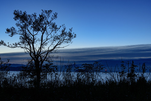 japan 滋賀県 高島市 琵琶湖 lake 湖 日の出 sunrise