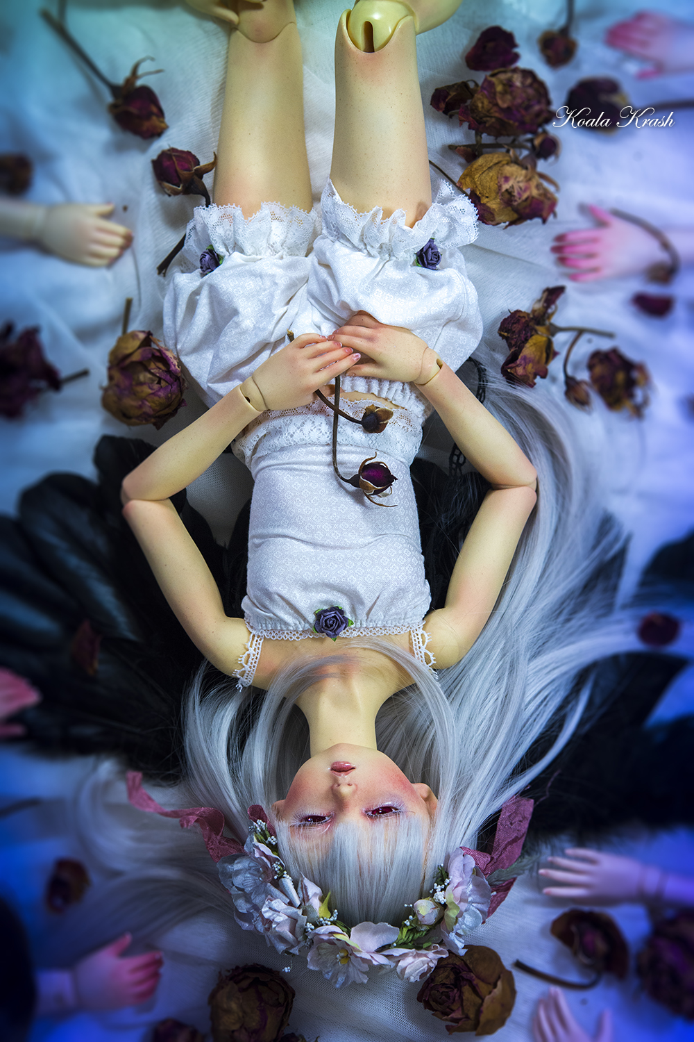 [SD Volks & co.]    Rite of Spring   (Rozen Maiden) - Page 13 31199742218_98b2ef8565_o