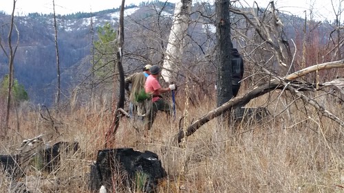 forestservice forestry wildfires idaho restoration