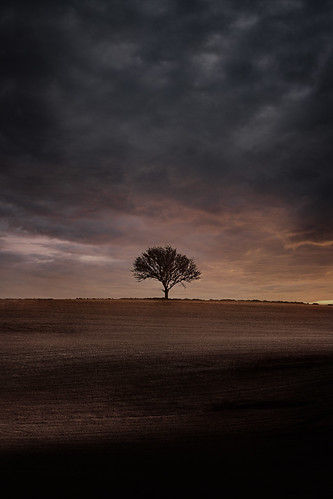 skåne slimminge sweden photographerpetercohn skurup dusk tree sunset hill