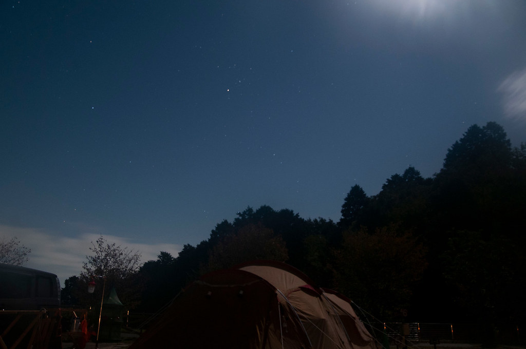 junibo-camp-sequel-003