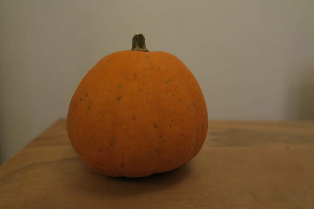 IMG_0908 pumpkin