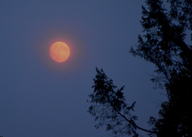 Moon through wildfire smoke
