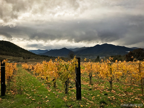 applegatevalley autumn clouds color mountains oregon outdoorphotography sky vineyard winery iphone7 iphoneography