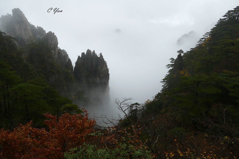 Huang Shan 黄山