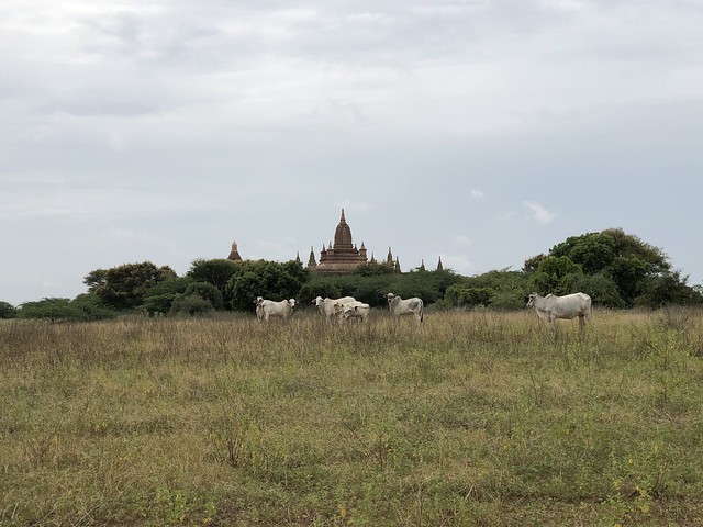 Bagan Segundo día (Interludio Parte I) - Myanmar, Camboya y Laos: la ruta de los mil templos (20)