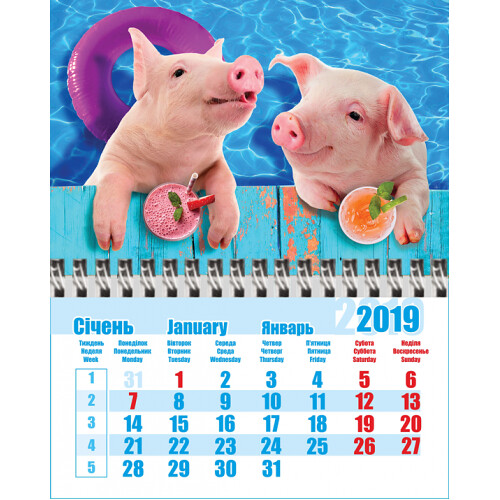В календаре дни вычеркивать легче, чем в жизни. kalendar-magnit_srednij_svinka10-500x500