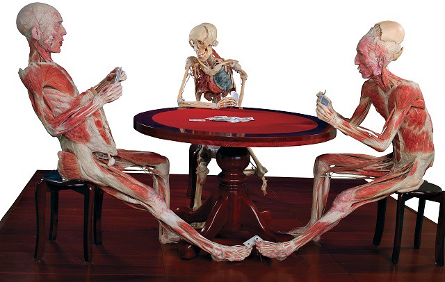 Poker Playing Trio from Casino Royale, reimagined for Body Worlds