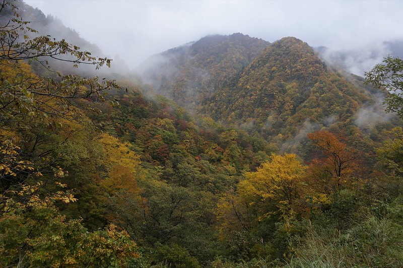 Autumn leaves at Mt. SARUGAJOUDOYAMA