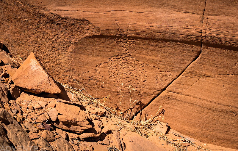 Bull Bottom Petroglyph