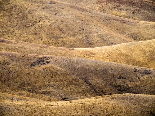 genesee idaho unitedstates us fence hills grass farm lewiston