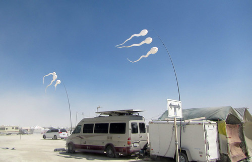 Sperm Kites at Kidsville (0138)
