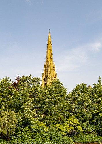 Square Church Spire and the Trees.