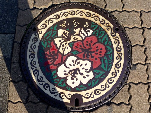 Kokubunji Tokyo, mahole cover （東京都国分寺市のマンホール）