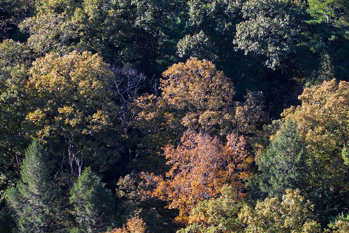 helmstetterscurve westernmaryland maryland autumn fall foliage greenridgestateforest