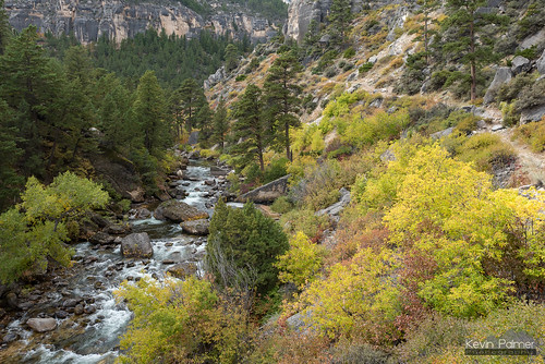 bighornmountains bighornnationalforest dayton wyoming tongueriver tonguerivercanyon flowing water october fall autumn foliage color colorful trail path rapids nikond750 tamron2470mmf28