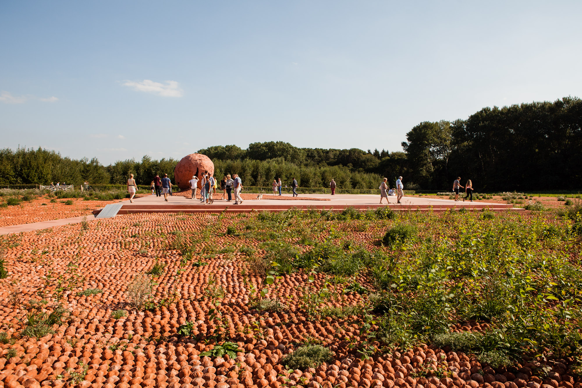 ComingWorldRememberMe land art installation | Palingbeek