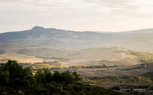 toscane toscana tuscany val orcia canon eos 7d mark ii l series ef 2470mm f28l usm paysage landscape countryside pine alley agriturismo farm italy plage mer sable arbre pelouse ciel eau route