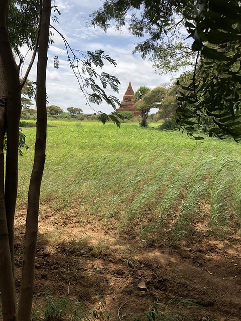 Bagan Primer día (Obertura Parte I) - Myanmar, Camboya y Laos: la ruta de los mil templos (39)