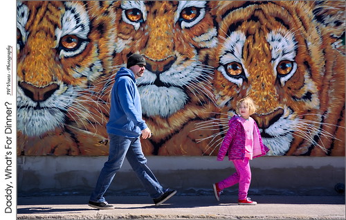 tigers mural watching gianttiger listowel man girl pedestrian opensource rawtherapee gimpnikon d7100 nikkor18105mmvr