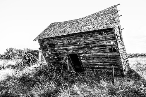 solemn shack landscape bushes brush blackwhite quiet home abandoned barn monochrome grass serious house farm d850 creepy montana forgotten scary field ryegate unitedstates us