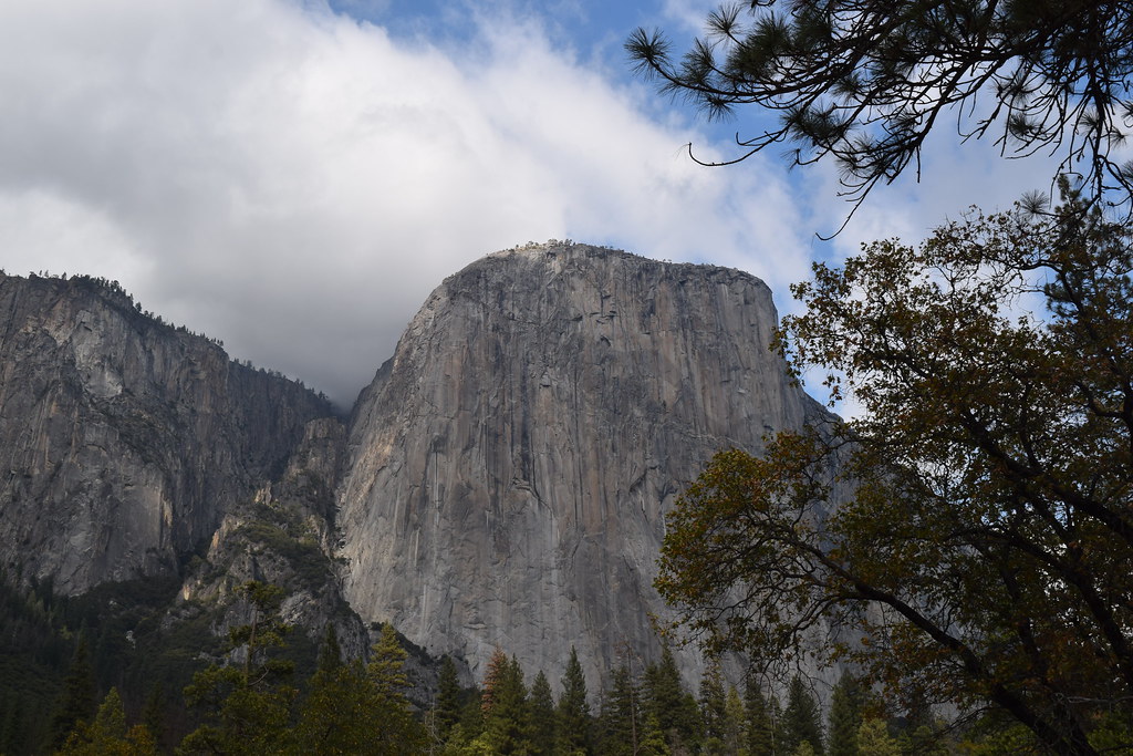 El Capitan from Yosemite Valley