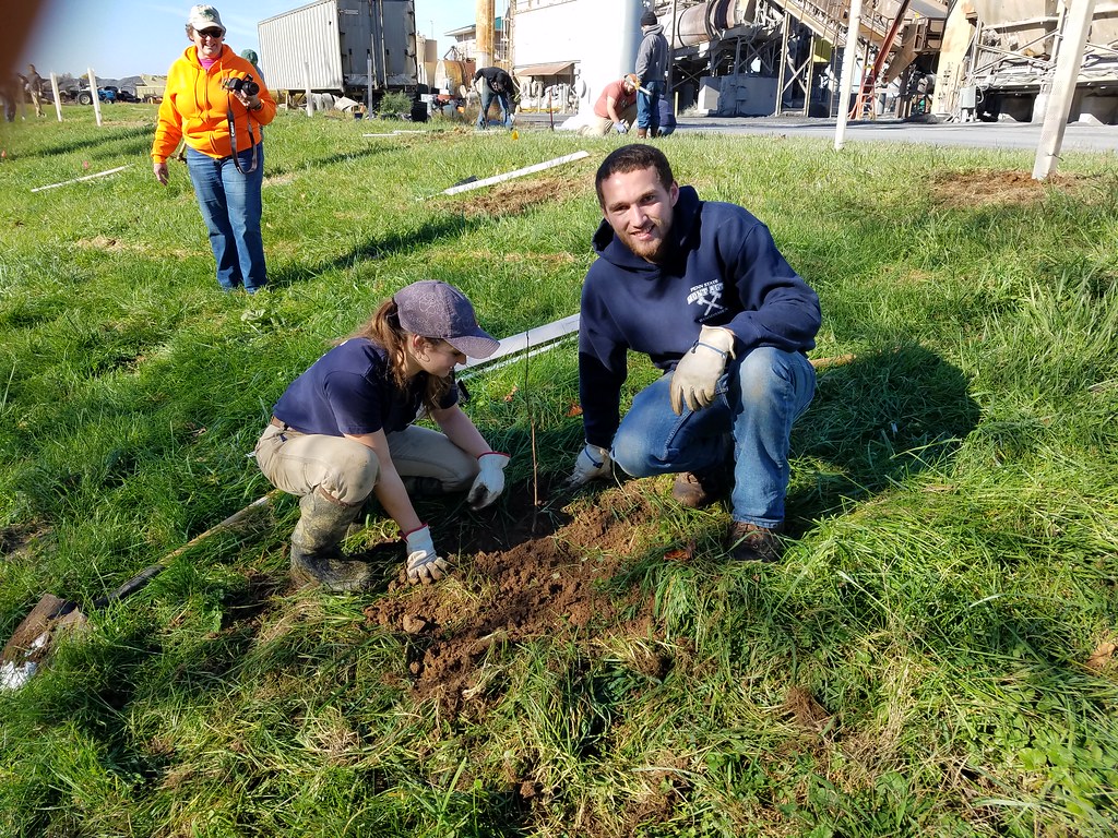 Tree planting with Alliance for the Bay