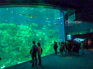 Photo 2 of 10 in the Aquarium gallery