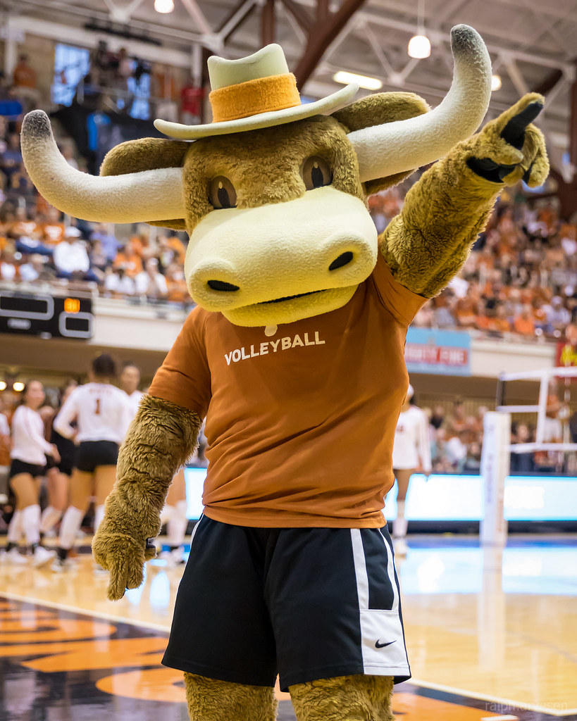 University of Texas Longhorn Cheer