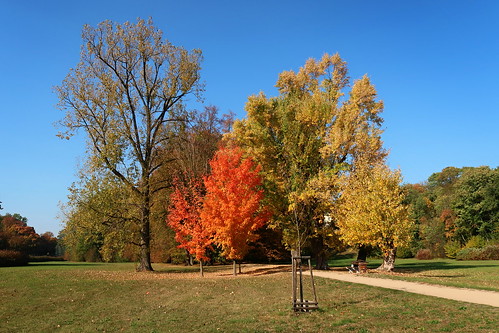 chateau park kostelec nad orlicí autumn landscape trees sky color green