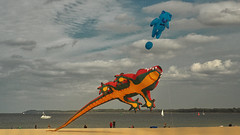 Kite festival at the beach