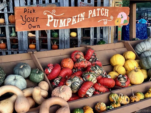 farmersmarket jcutrer market wagon vegetables autumn colorful festive november groud squash farm patch cart pumpkin fall