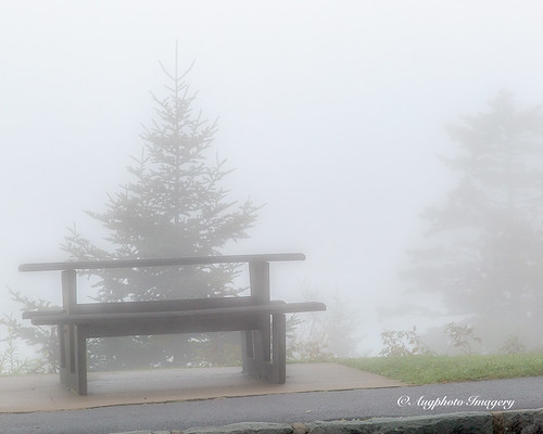 augphotoimagery blueridgeparkway fog foggy haze mist misty muted nature outdoors picnictable trees maggievalley northcarolina unitedstates