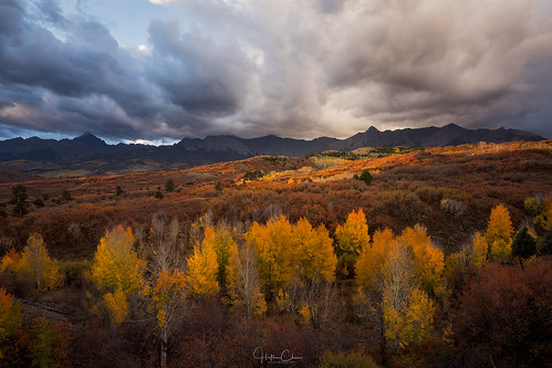 aspentrees autumn fallcolors landscape sanjuanmountains colorado spotlight dallasdivide sunrise ridgway unitedstates us