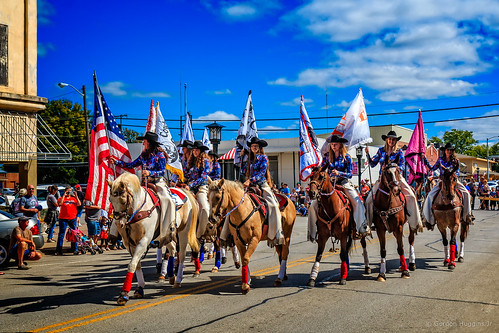 horse sweethearts digitialidiot parade ©allrightsreserved