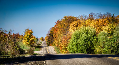 eastofleland leelanau autumn landscape leaves road