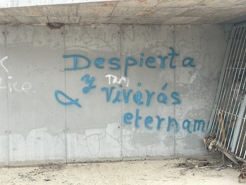 Graffiti en Pilar de la Horadada (Alicante)
