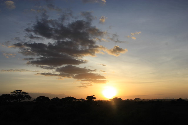 Dia 2: Comienza la aventura: primer contacto con Amboseli (10/02/2018) - Hakuna Matata: Memorias de Africa - En construccion! (34)