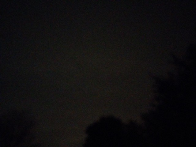 Night past trees #toronto #dovercourtvillage #night #trees #black