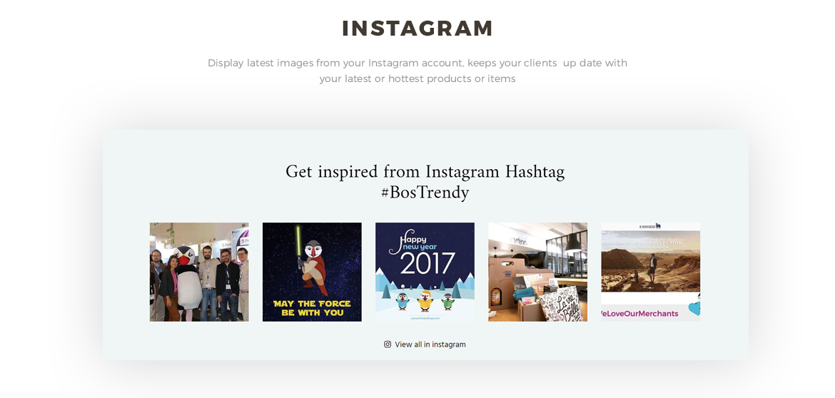 instagram - fashion online store