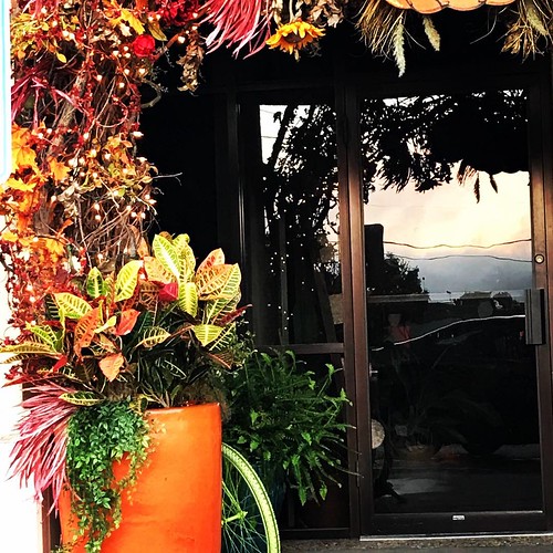 fall autumn sunrise 2018 september florist