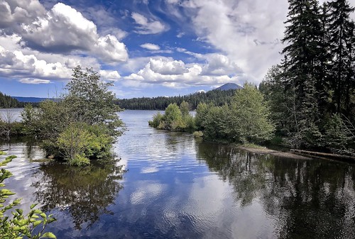 oregon on1pics 2018 summer camping nature suttlelake lake cropped linkcreekcampground blue deschutesnationalforest clouds reflection 500views