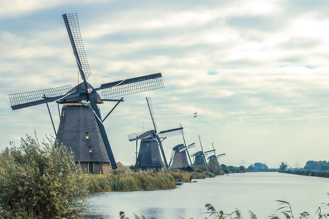 Kinderdijk